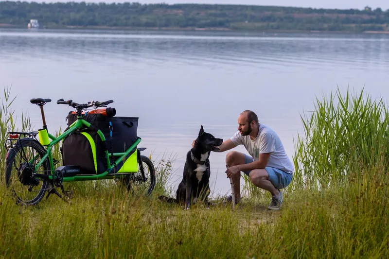 Hund sitzt entspannt in der Transportbox eines Velo Lab Lastenrads